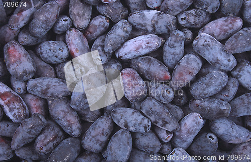 Image of exotic blueberries