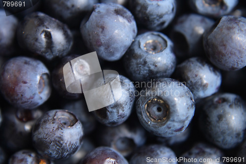 Image of blueberries background