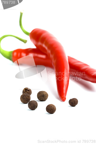 Image of two red cayenne and aromatic pepper 