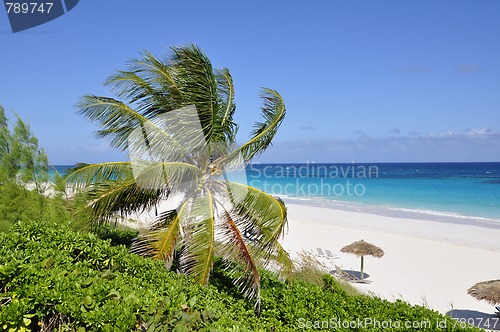 Image of caribean beach