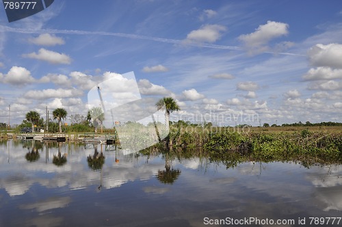 Image of everglades