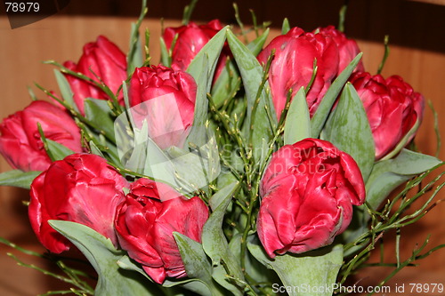 Image of Tulips