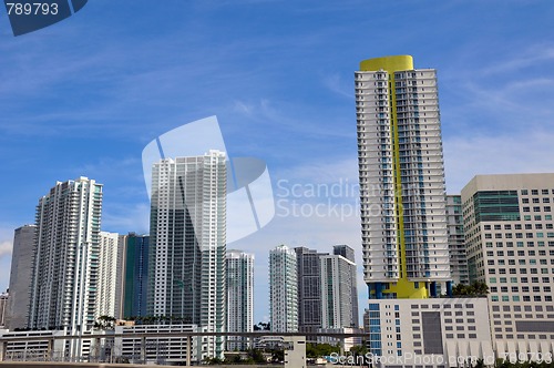 Image of Miami Skyscrapers