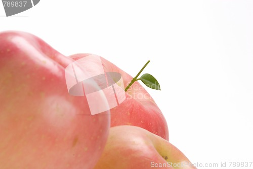 Image of Fruits, Rose Apple