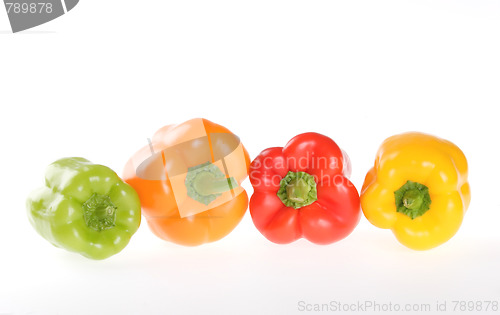 Image of Vegetables, Bulgarian Pepper