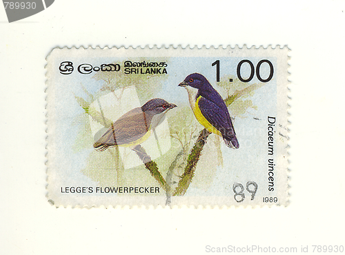 Image of sri lanka stamp