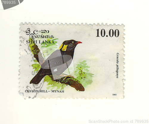 Image of sri lanka stamp