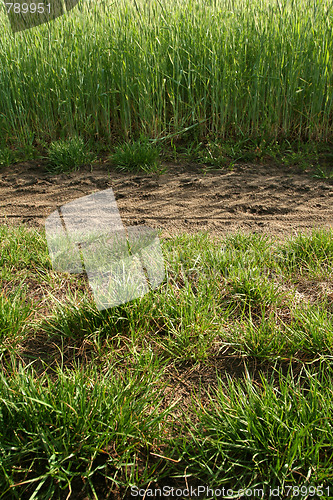 Image of Field path