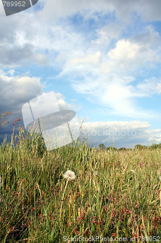 Image of Storm clouds over the field