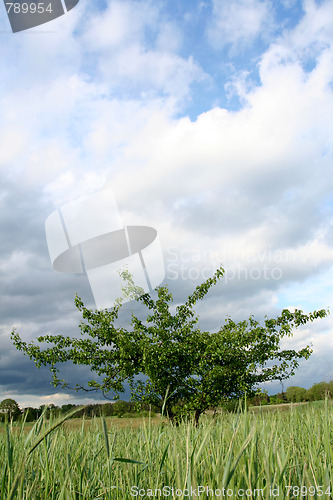 Image of Storm clouds over the field