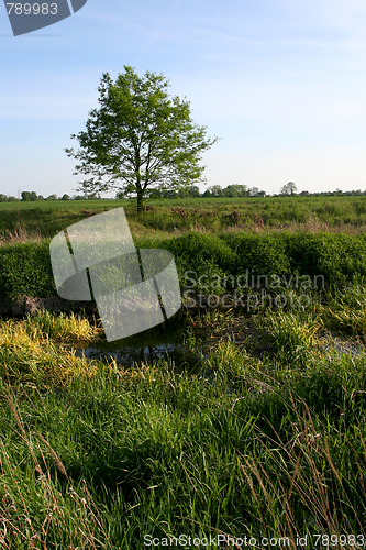 Image of Field