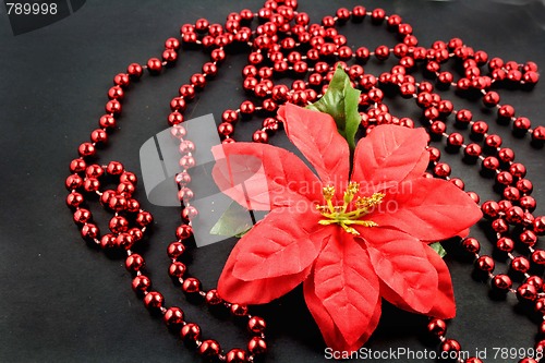 Image of Red poinsettias with beads