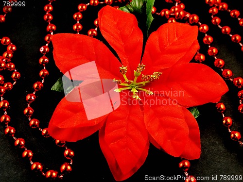 Image of Poinsettia with red beads