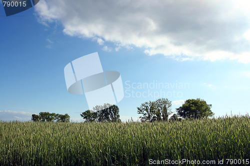 Image of Storm clouds over the field