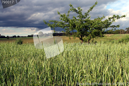 Image of Storm clouds over the field