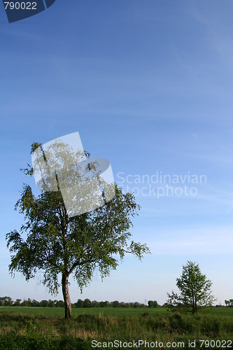 Image of Field