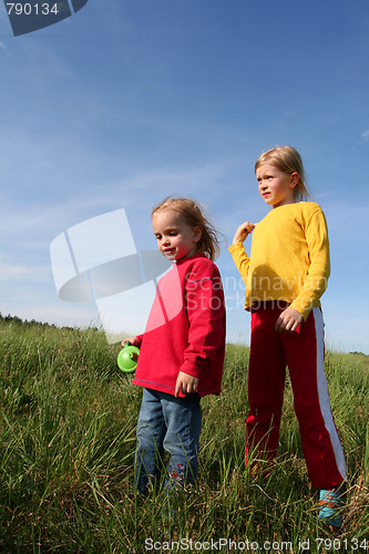 Image of In the meadow