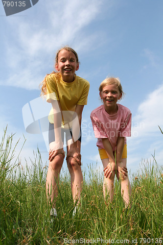 Image of In the meadow