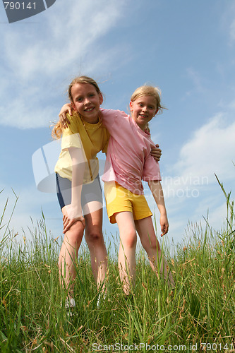 Image of In the meadow