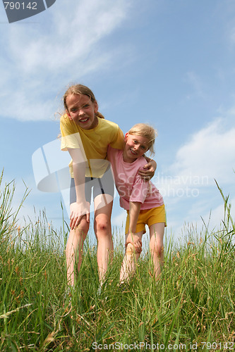 Image of In the meadow