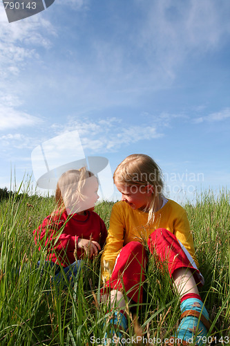 Image of In the grass