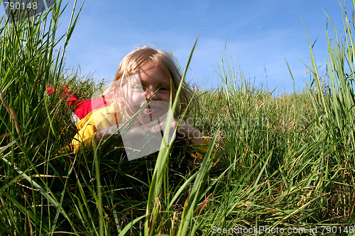 Image of In the grass