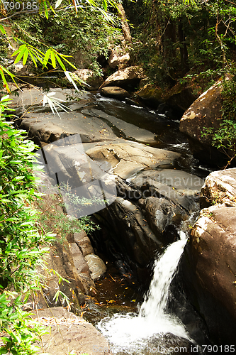 Image of Waterfall in the jungle.