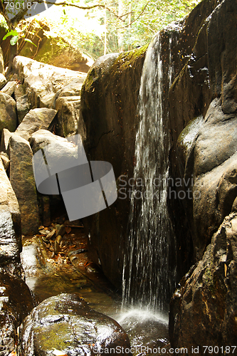 Image of Waterfall in the jungle.