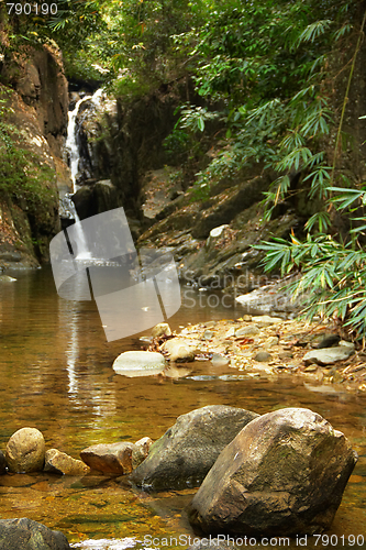 Image of Waterfall in the jungle.