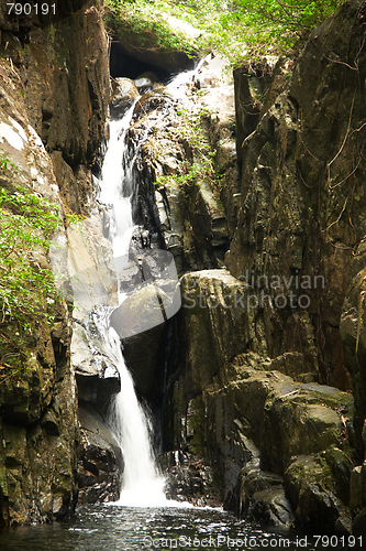 Image of Waterfall in the jungle.