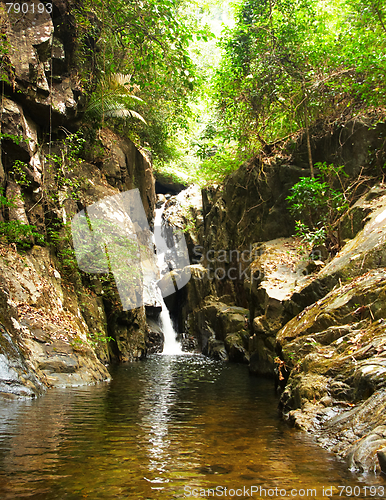 Image of Waterfall in the jungle.