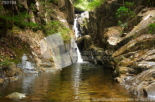 Image of Waterfall in the jungle.