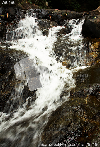 Image of Waterfall in the jungle.