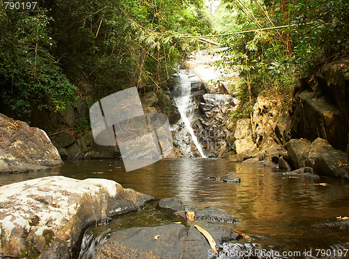 Image of Waterfall in the jungle.