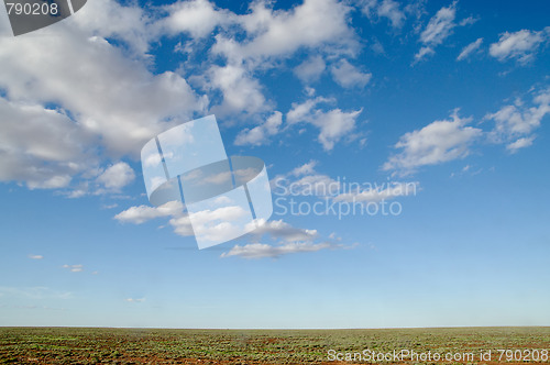 Image of australian desert after rain