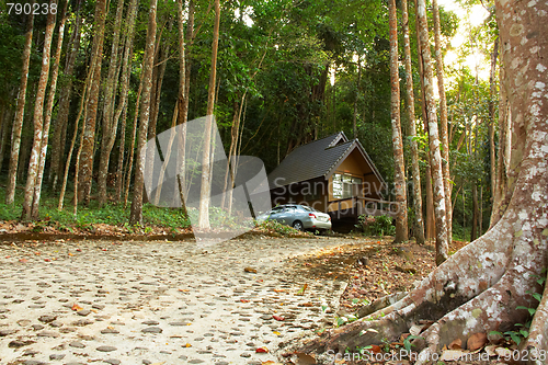 Image of Bungalow in the rain forest.