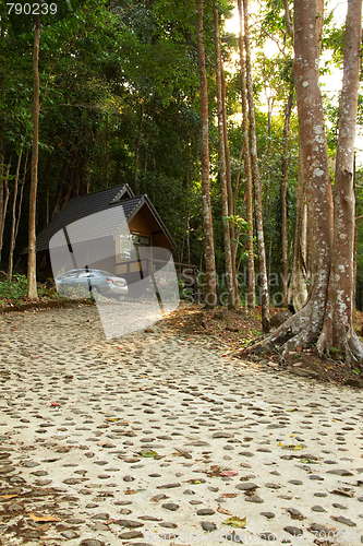 Image of Bungalow in the rain forest.