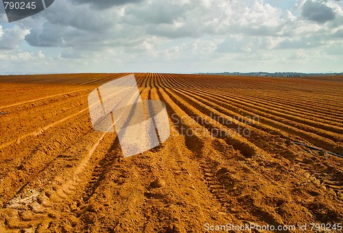 Image of Orange plowed field in perspective in cloudy day