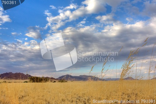 Image of Landscape in Namibia