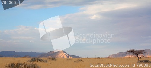 Image of Landscape in Namibia