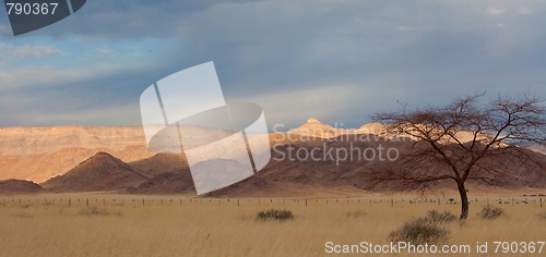 Image of Landscape in Namibia