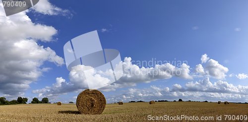 Image of harvested fiel with straw and lots of sky