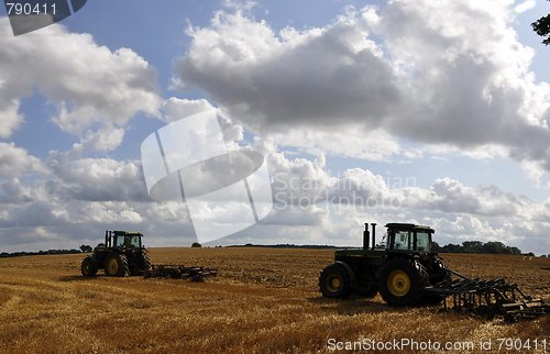 Image of harvest