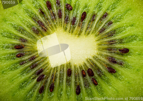 Image of Extreme macro shot of a kiwi