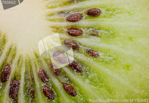 Image of Extreme macro shot of a kiwi