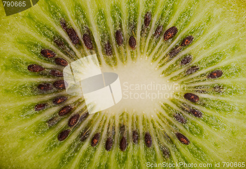 Image of Extreme macro shot of a kiwi