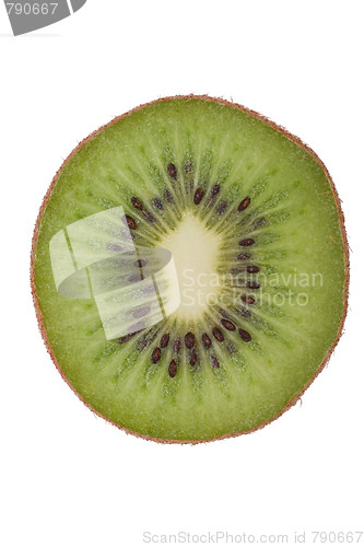 Image of Macro shot of a kiwi isolated on white
