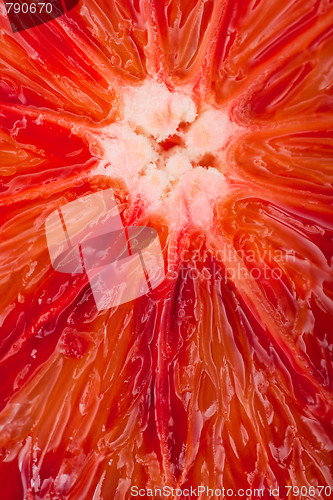 Image of Extreme macro shot of a blood orange