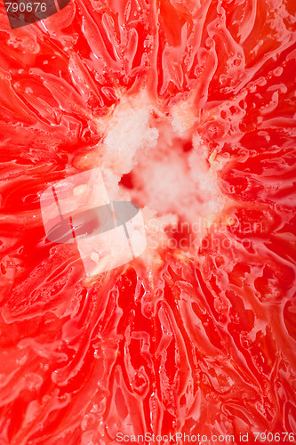Image of Extreme macro shot of a red grapefruit