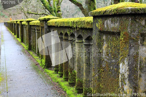 Image of Moss Covered Bridge